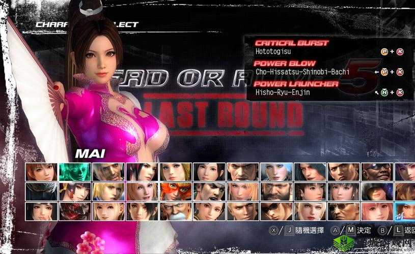 死或生 5 终极版配置要求究竟高不高详细解析与探讨