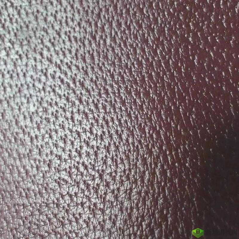 AAAA 级毛皮最火但更新太慢亟待改善