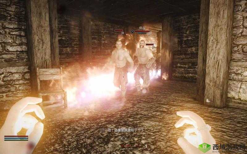 上古卷轴 5 天际游戏中如何准确辨别敌对势力与我方阵营