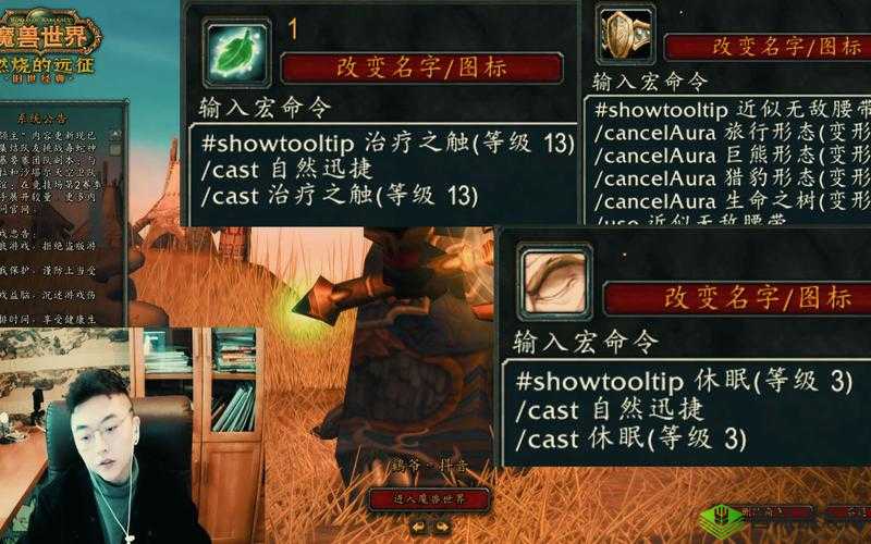 魔兽世界怀旧服德鲁伊的必学宏指南：高效实用宏推荐助你征战野外