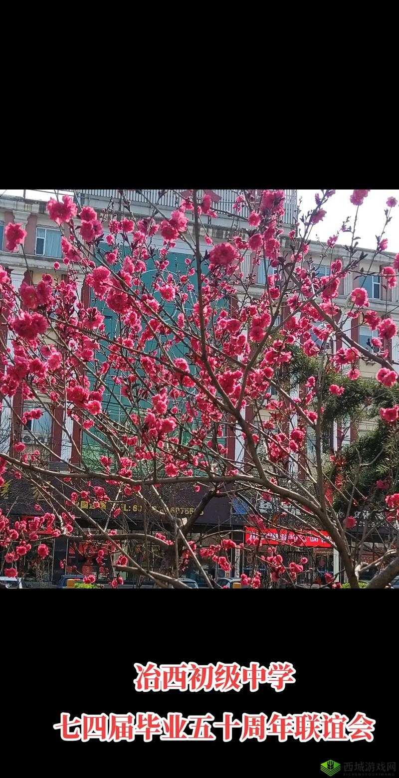 她开始慢迎迎合徐平雪周玉梅:一段独特的经历