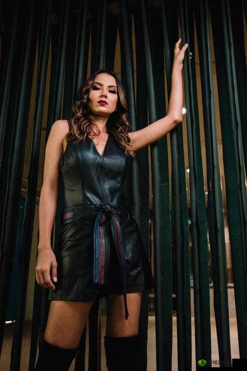 人文艺术 344447 的魅力