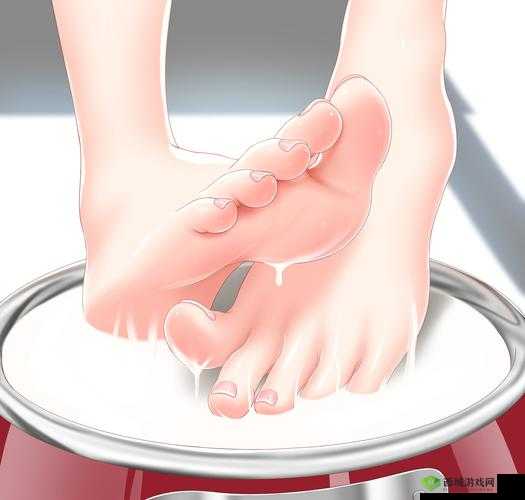 光脚足控免费网站?Xx 网站:独特魅力等你来