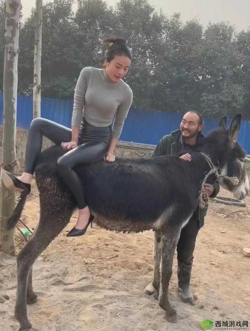 老色驴的搞笑日常