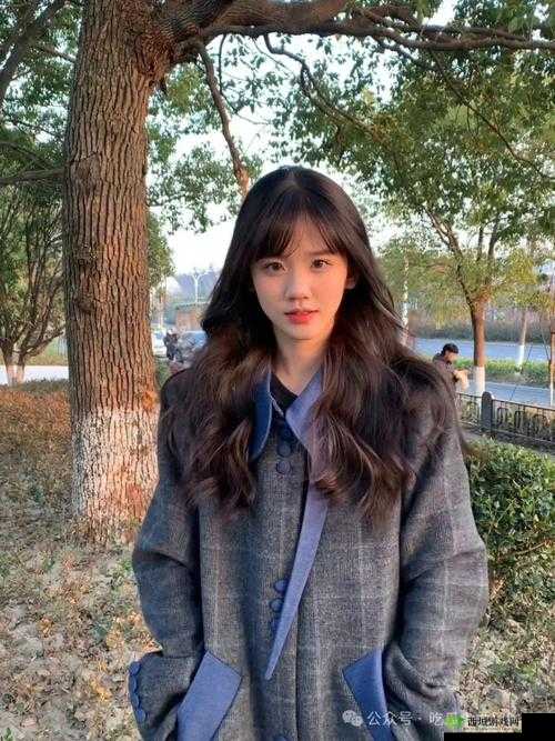 恋与制作人网红整容事件深度揭秘:事件选择攻略与新闻调查暗访全解析