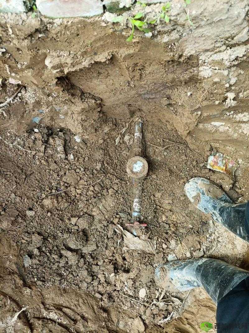 天天爱连线接水管第20关攻略及答案大全揭秘:接水管答案全收录