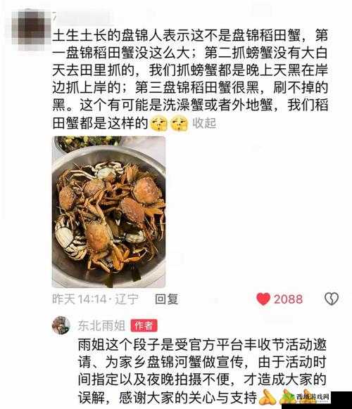 东北老阿姨最后的巅峰澎湃号:精彩不落幕