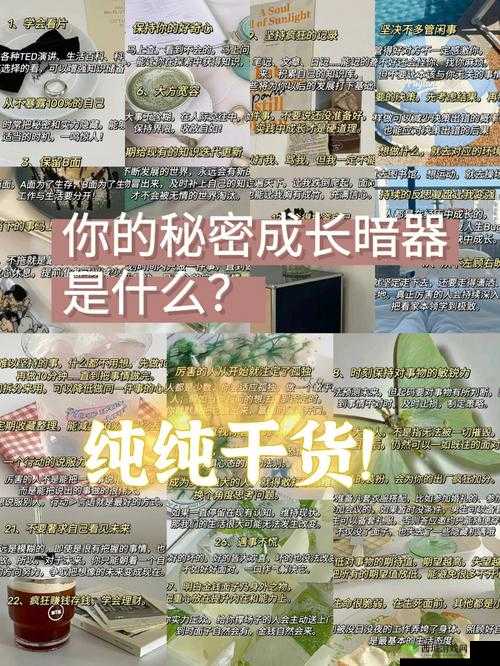 10 款禁用软件永久视频:满足你好奇心的秘密武器