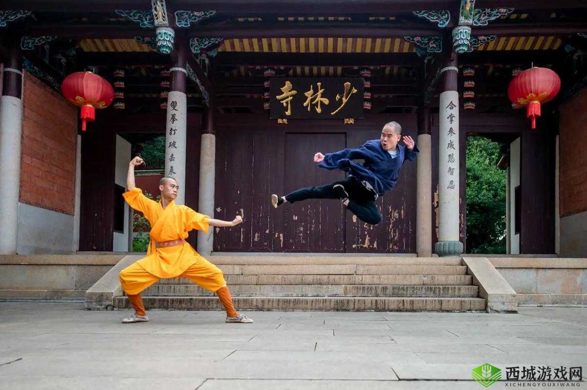 功夫少林 VIP11 特权全揭秘,价格究竟几何?