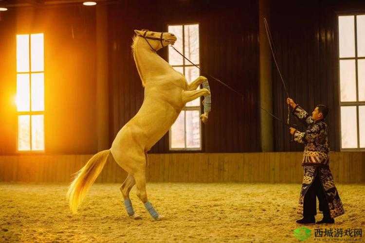 人马畜禽 CORPORATION 免费,共享资源新时代