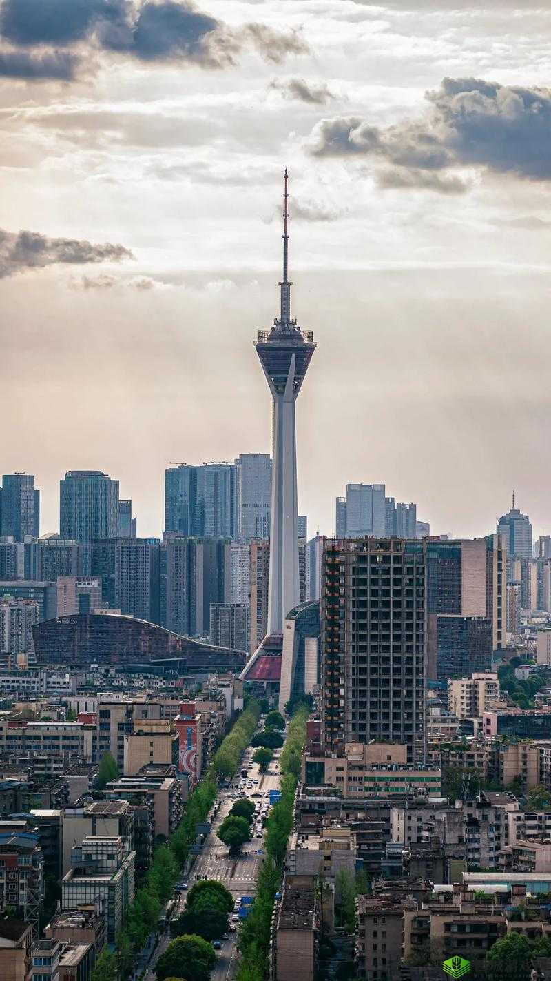 适合一个人看的电视成都:城市的静谧之美