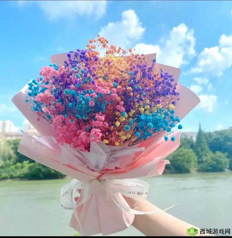 第七色成人:探索未知的世界