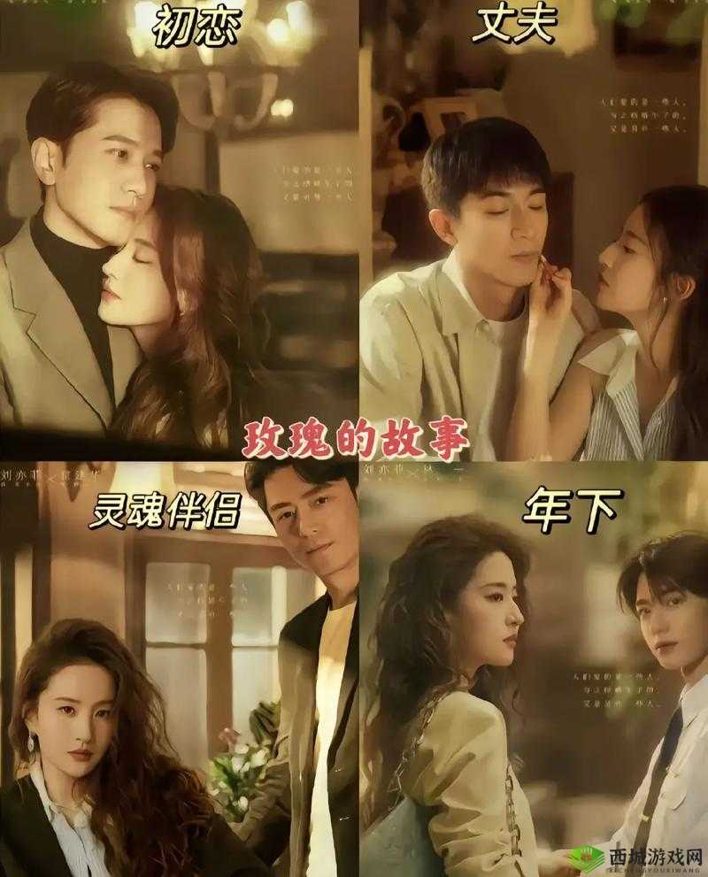 适合夫妻两个人看的电视剧:情感共鸣的视听盛宴