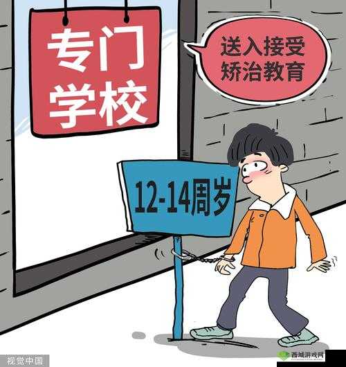 14 岁可以买入体的小玩具吗:未成年消费疑问