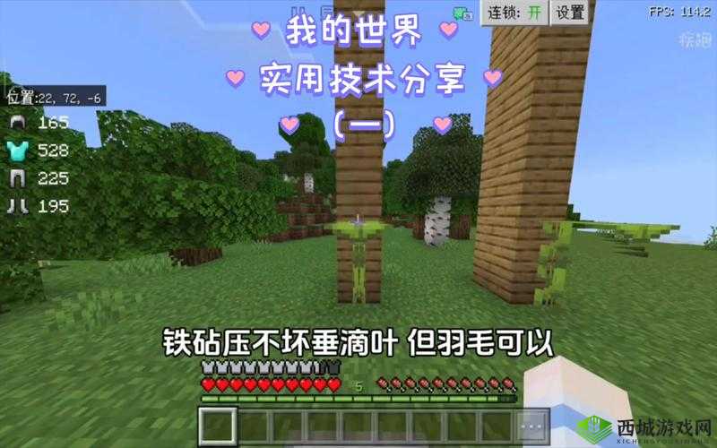 我的世界实用小技巧:让你游戏体验大不同