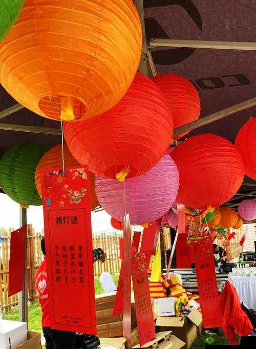 换母闹元宵猜灯谜:苏娅李文雯相关活动