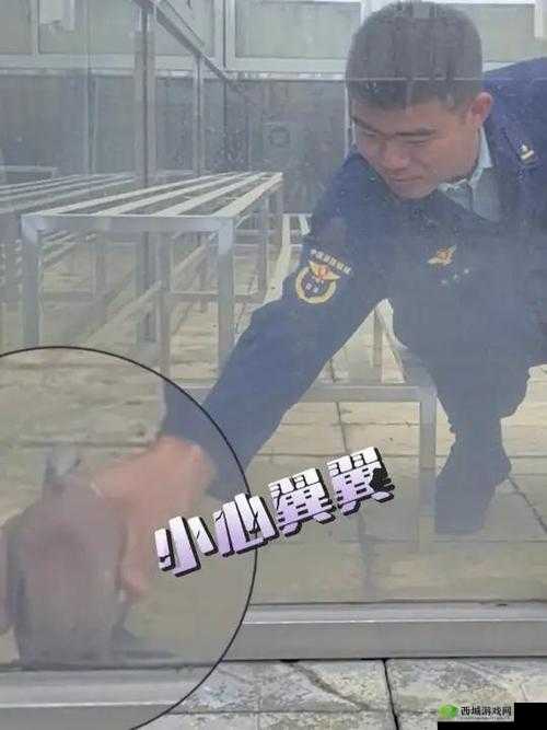 消防糙汉 Vs 江怡:爱情的碰撞