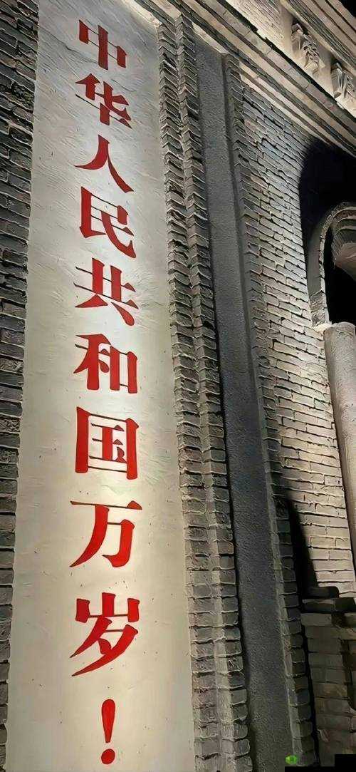 中国人 XXXX1819HD:一场跨越时空的文化之旅