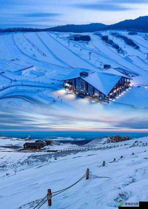 jjzz 黄片:探索刺激的别样世界