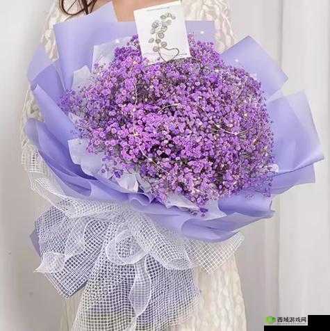 意大利满天星 A 级:璀璨花材,装点美好生活