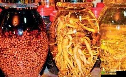 夜战十女不败的草药:重振男人雄风的秘密武器