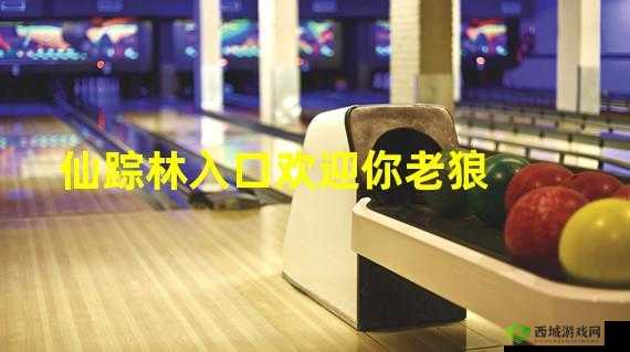 仙踪林入口视频欢迎你：开启奇幻之旅