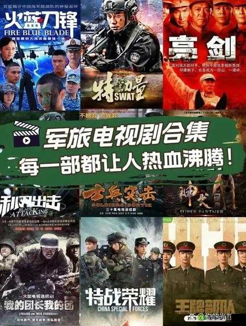 8848 热血励志军旅题材电视剧