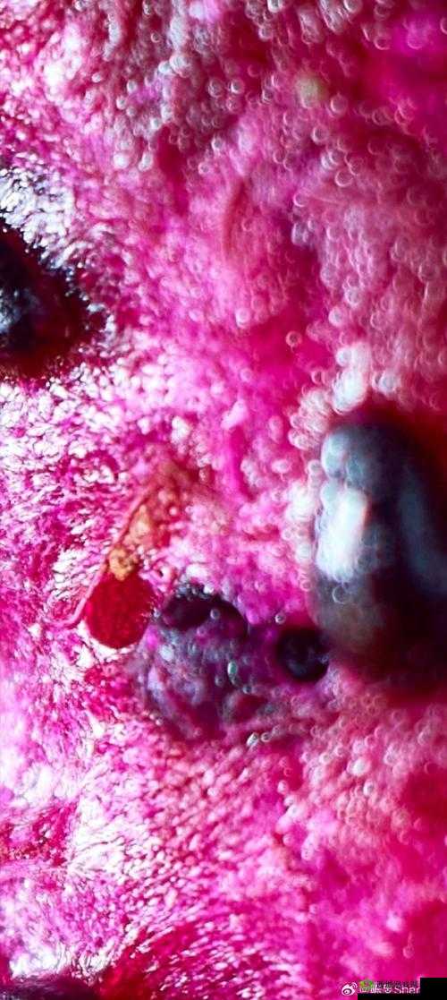 原子之心:探索微观世界的故事