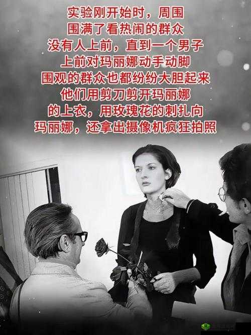 人曾交互 mouse 放:一场人性的实验