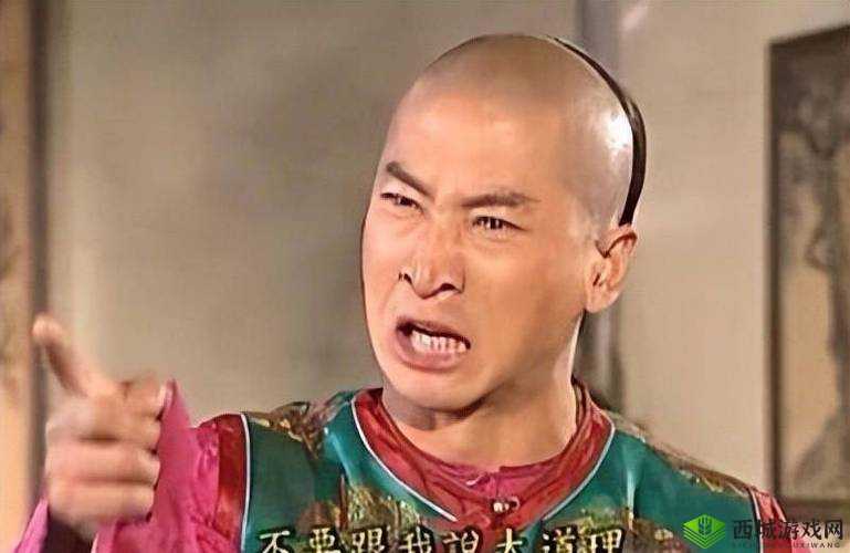 尔康吃金锁肉厨房:一场别开生面的闹剧