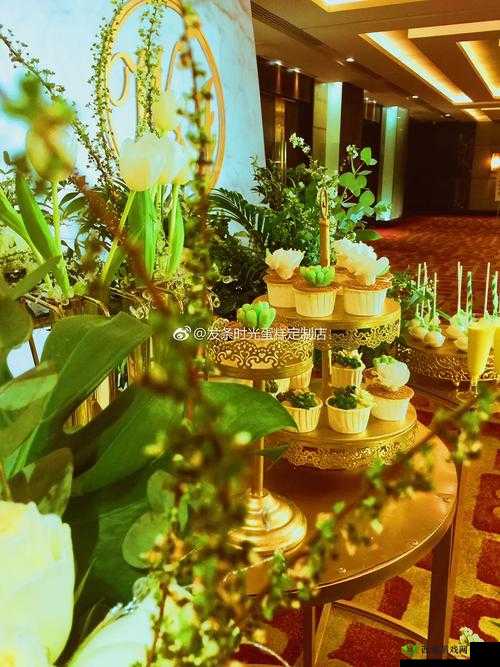 XZL 仙踪林中国大陆:打造绿色健康茶饮