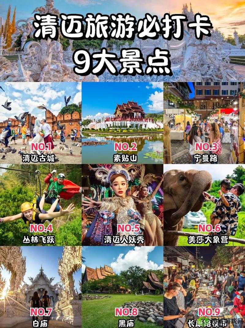 《流星群侠传》迷路攻略:探索关卡寻路指南