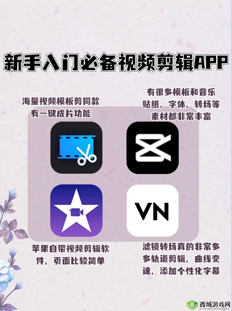 免费的成品短视频app推荐:实用软件大集合