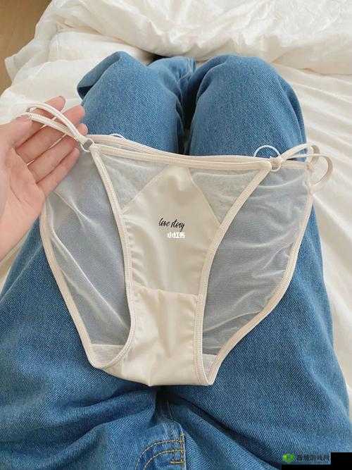 美女脱了内裤打开腿让人羞羞软件:诱惑与私密的极致体验