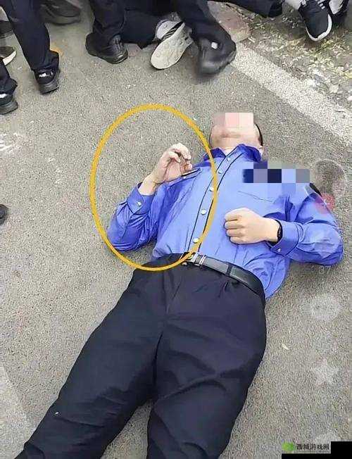 张警犬撞玻璃视频资源:揭秘真相