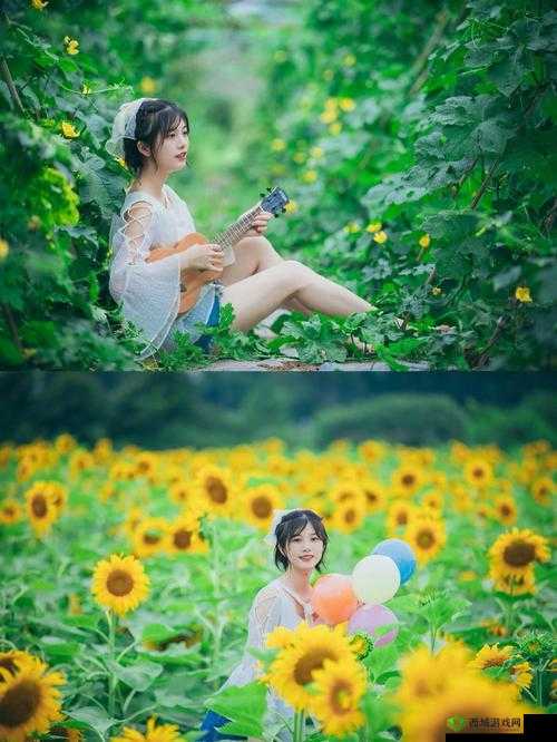 丝瓜草莓向日葵：夏日田园的缤纷蔬果