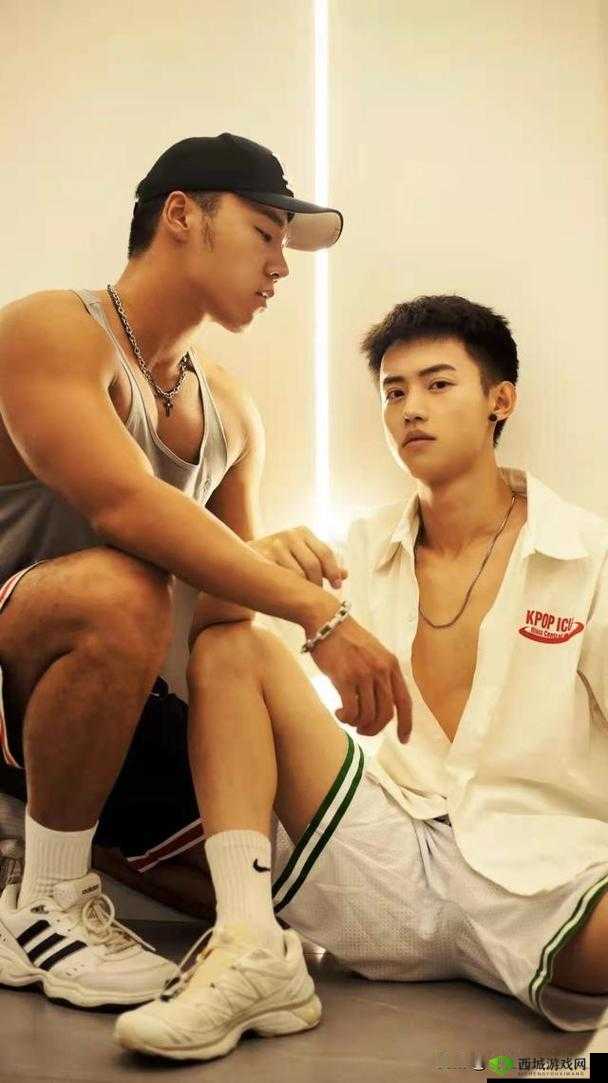 chinese 小男生 gay 男男网站:打造纯净同志视频社区