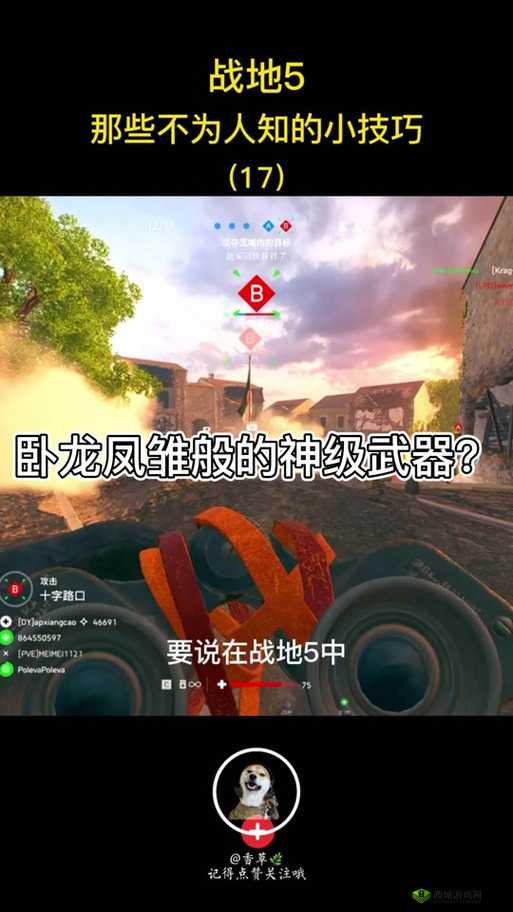 《战地5》枪金皮任务全面解析:策略与步骤详解,助你轻松达成金皮荣耀