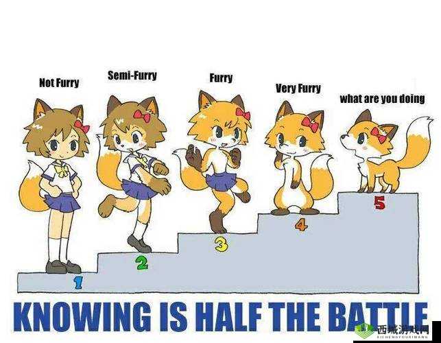 GAY 操逼小马拉大车:另类视角下的奇特场景