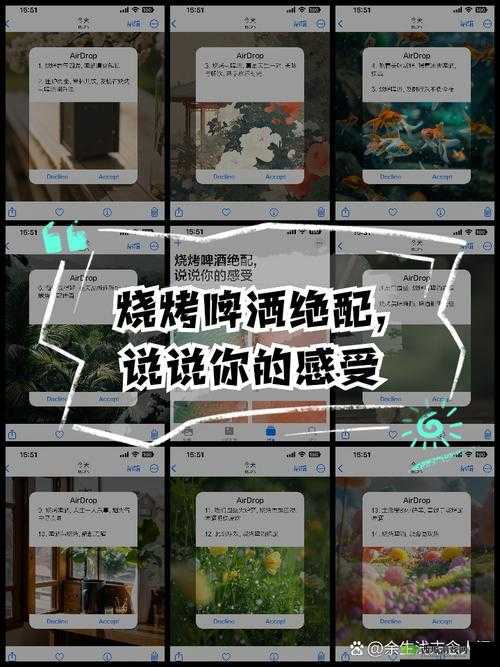 及时行乐 NPH：畅享当下欢乐时光