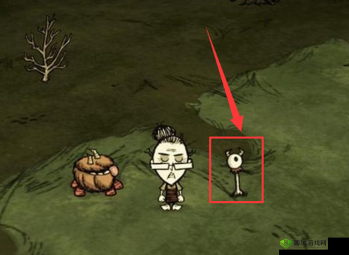 饥荒游戏中眼骨的寻找攻略:眼骨位置详解