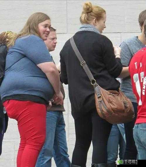 欧美肥 B:探讨肥胖与美的多元视角