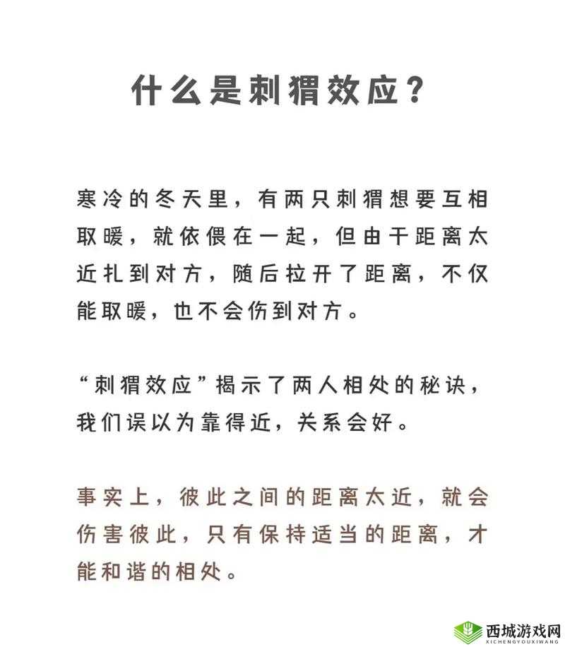 人与人和人与物:和谐共处的秘诀