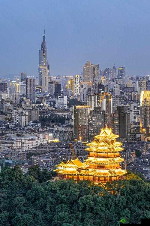 抠屄自拍区：私密自我展现的独特视角