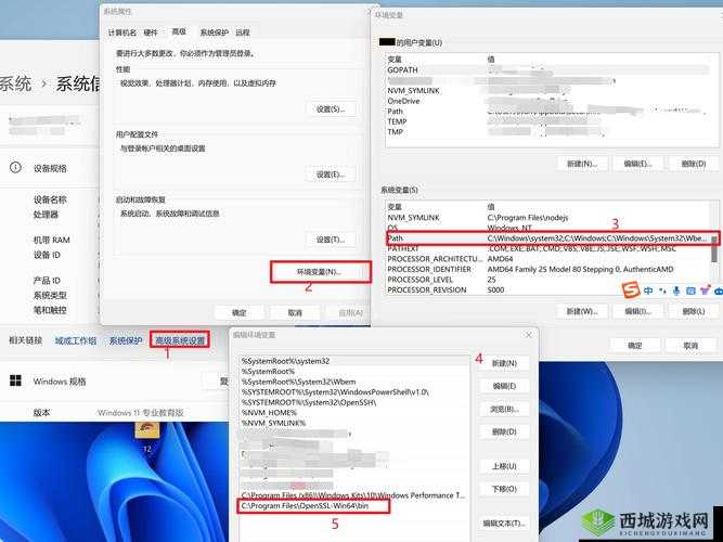 老奶奶 vpswindows:网络热点词汇背后的故事