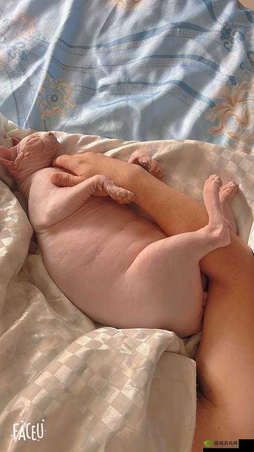 一边摸下面一边的别样体验