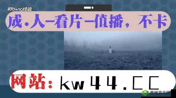 搞机TIME 恶心直接打开网页不要钱:揭露真相