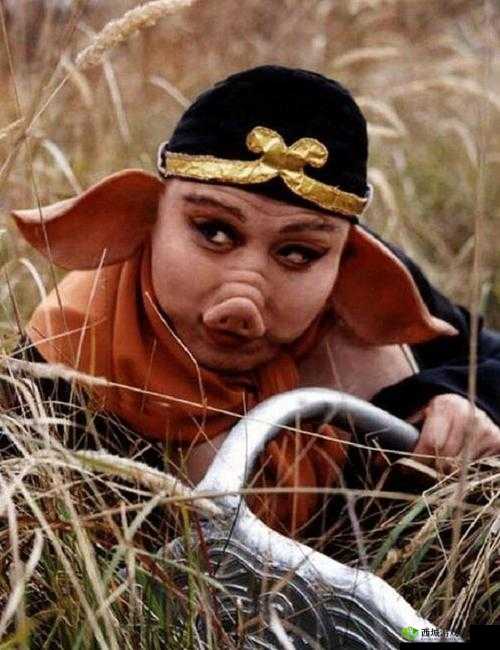 八戒八戒:畅享免费高清视频资源