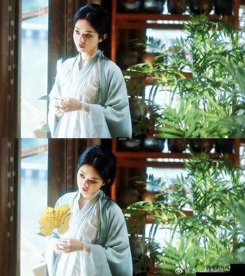 蜜桃 MV 在线播放免费且精彩观看：无需付费尽享