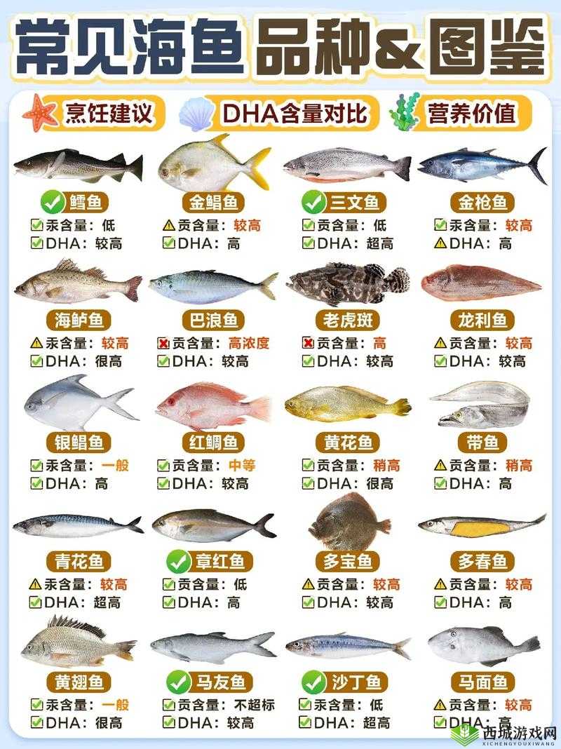 炉石传说之血吼卡牌深度解析与图鉴指南